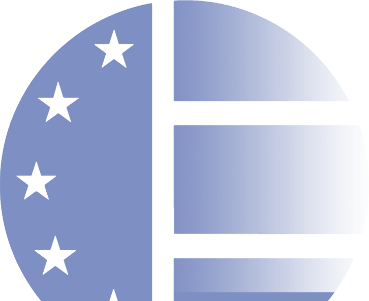 Euroins Logo footer background